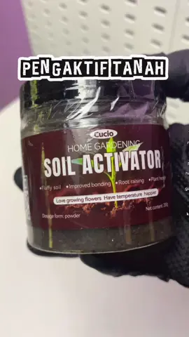 Tanah keras, pokok tak naik? Saya siram soil activator ni je. Seminggu lepas tanam keratan, sekarang pokok dah naik daun! Tak sampai 8 ringgit. Bancuh siram je, tanah terus hidup balik! Promo: Beli 2 percuma 1 –RM12 dapat 3 botol! #soilactivator #tanahsubur #pokokbantut #aktifkantanah #bajapokokbuah #tanamsendiri #gardeningmalaysia #fypmalaysia #produkviral #CapCut 