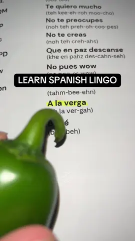 Learn real Spanish lingo. This book has helped me so much already in the past two weeks. #LearnSpanish #HowToLearnSpanish #SpeakSpanish #LearnSpanishFast 