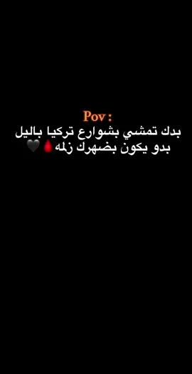 #بدك تمشي بشوارع تركيا بالليل بدو يكون بضهرك زلم #🥷🖤🐊 