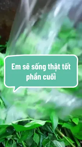 Em sẽ sống thật tốt phần cuối #xuhuong #kechuyen #tiktok #audio #lambanh 