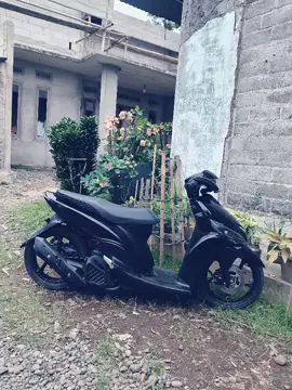 👋 holaaa.......