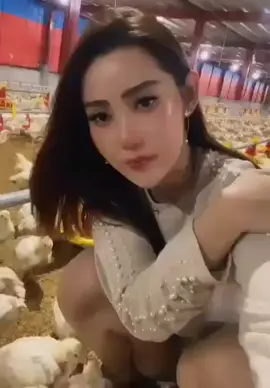 #ayambroiler #vyp_viral_tiktok 