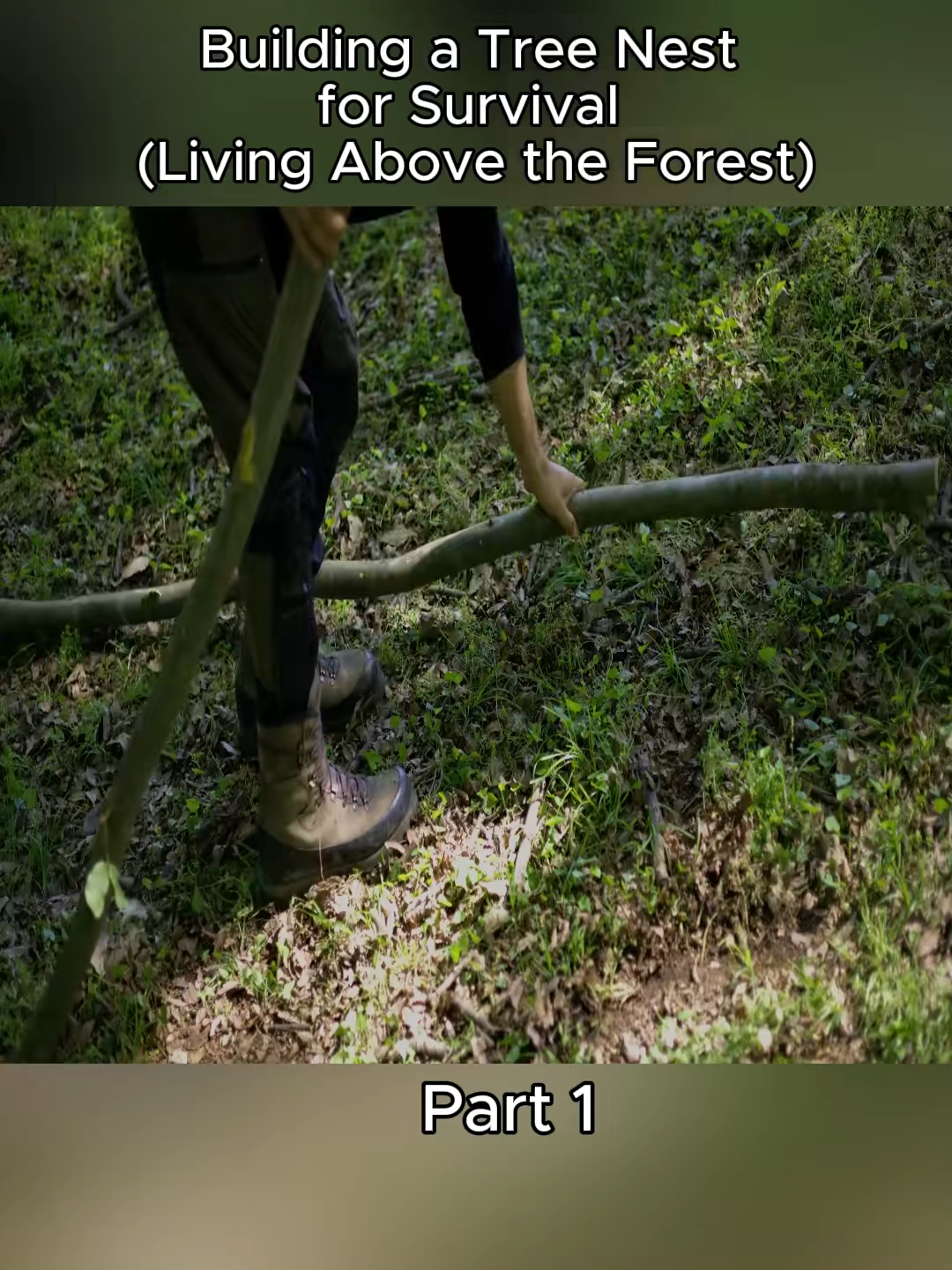 #camping #lifehacks #ideas #survival #skills #bushcraft #forest #asmr #HiddenCave #PrimitiveSurvival #Outdoors