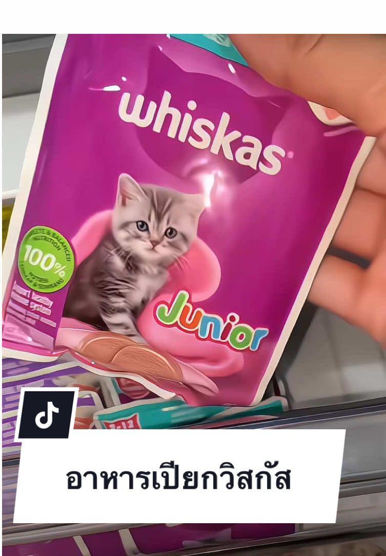 น้องจีจี้ชอบมาก #อาหารลูกแมว #วิสกัส #เอิงเอิร์นอยากรีวิว #whiskas #น้องจีจี้แมวน้อย #อาหารแมว #อาหารเปียกลูกแมว #อาหารเปียกแมว #อาหารเปียกวิสกัส #อาหารแมวเปียก #แมวเด็ก  