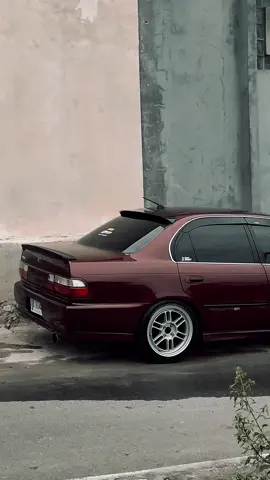 Suka duka melihara motuba paman🫵 #greco #ae101 #greatcorolla #motuba 