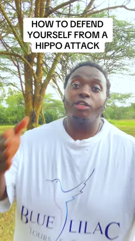 Book with us today🤠✅ #politicstiktok #tiktokkenya🇰🇪 #bluelilactravel #wildlifeoftiktok 