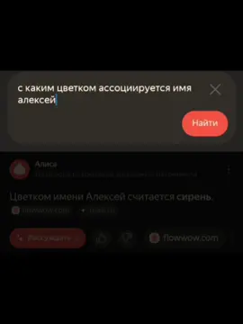 цветок с которым ассоциируется Лёша #хазяева #koresh #кореш #лешакореш #hazaeva #рек #фреймтеймер #paradeevich #парадеевич #exile #frametamer #данилагорила 