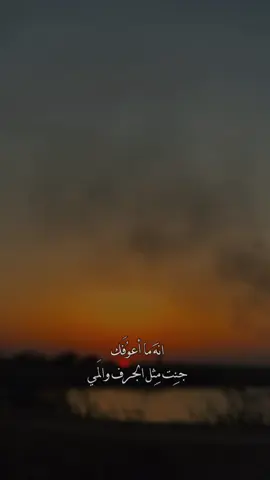 أنا ما أعرفك…#باسم_الكربلائي #اللهم_صلي_على_نبينا_محمد #تصويري_احترافي_الاجواء👌🏻🕊😴 #تصويري📷 