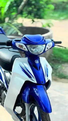 #125zr 