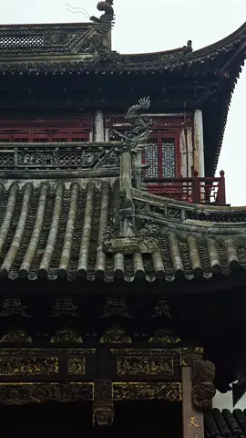 Chinese Garden in Shanghai  #fyp #chinaa #nature #goviral 