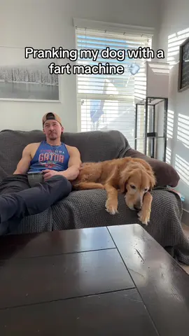 When I did the fart prank on my police dog and this happened 🤣🤣🤣#dogsoftiktok #dog #funnyvideos #funnytiktok #funnydog #fartprank #funny 