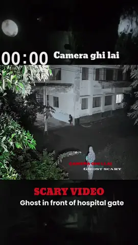 real ghost #cctv #scary #horror #pov #animal #ghost 