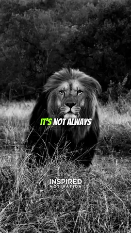 it's not easy | life best motivation speech #inspiration #lifelessons #motivation #trending #shorts #viralvideos #foryoupagе #fyp #success #motivation #vibes 