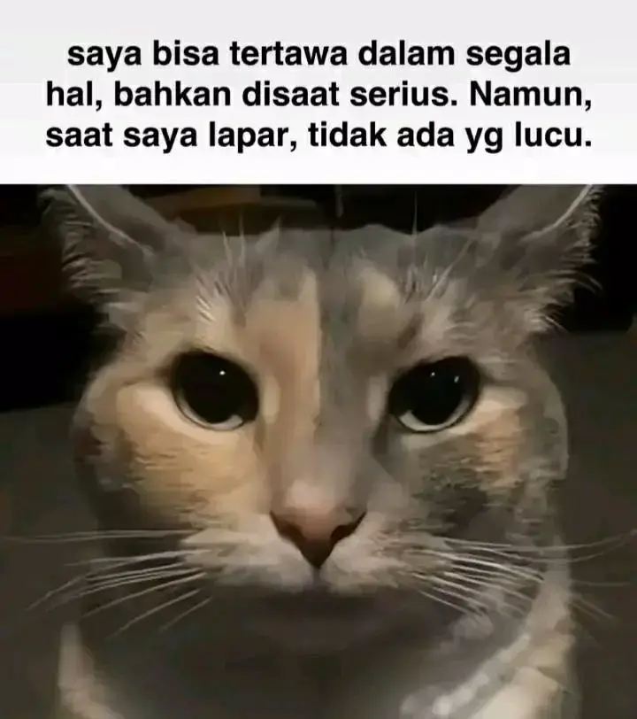 Saat lapar, tubuh kita mengalami penurunan kadar gula darah, yang bisa mempengaruhi fungsi otak dan keseimbangan emosi. Ini beberapa alasan mengapa kita cenderung lebih mudah emosi saat lapar:- *Kadar gula darah rendah*: Gula darah adalah sumber energi utama bagi otak. Ketika kadar gula darah turun, otak bisa menjadi kurang stabil dan lebih rentan terhadap emosi negatif.- *Stres fisiologis*: Lapar dapat memicu stres fisiologis, yang bisa meningkatkan produksi hormon stres seperti kortisol dan adrenalin.