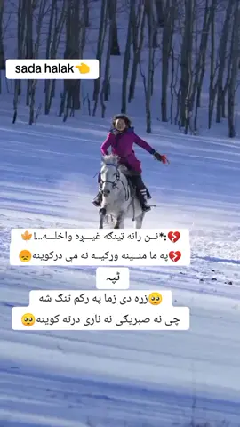 #pashtopoetry 