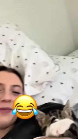Talking funny #funnyvideo #voiceover #animals #viraltiktok #funny #dog #pet #foryou 