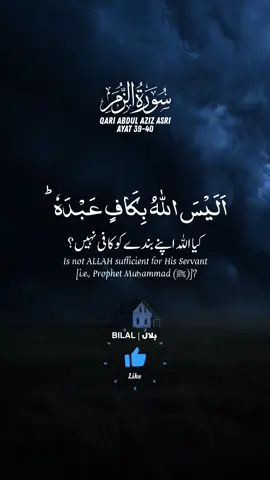 Surah Az-Zumar Ayat 39-40 | Qari Abdul Aziz Asri | Recitation of Quran  #tilawat #recite #surahZumar  . . #creatorsearchinsights  . . Tiktok || @Endinwords || Instagram || @qalb_e_husain || YouTube || @zeerakwrites || FB Page || @Al Quraan || . #quran #quran_alkarim #quranrecitation #islamic_video #zeerakwrites #muslimtiktok #zeerakteam #zeeraksquad #rbkzeerak #zeerakwrites #zeerakwrires #endingwords #qalb_e_husain #bilal34692 #astanaaliapindayainshareef #آستانہ_پنڈدائیاں_شریف #عبدالرحمن_مسعد #عبدالرحمن_مسعد🖤🎧 