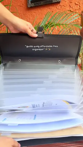PORTABLE ACCORDION EXPANDING FILES DOCUMENT ORGANIZER #filesorganizer #documentorganizer #expandingfolder 