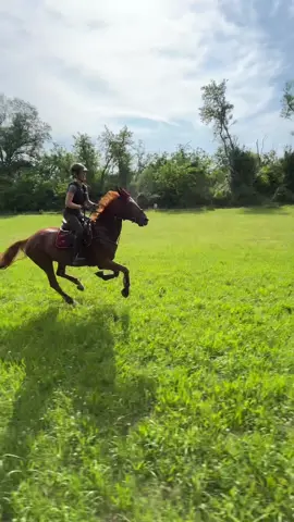 🚀🚀@hannah⭐️💋 #horse #riding #xc #eventing #croscountry #