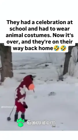 #fypシ #viral #trending #xyzbca #fyp #funny #funnyvideos #animals 