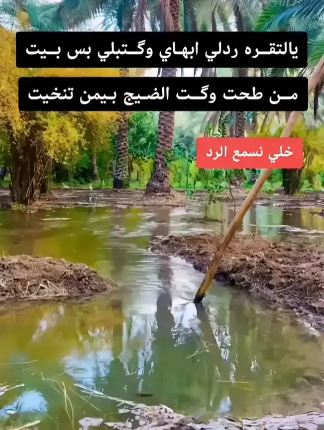 #تفاركنه_بدرب_بي_موووت #كلام_من_ذهب #دارمي #ابوذية #اشعار_حزن_شوق_عتاب_حب #قصائد 