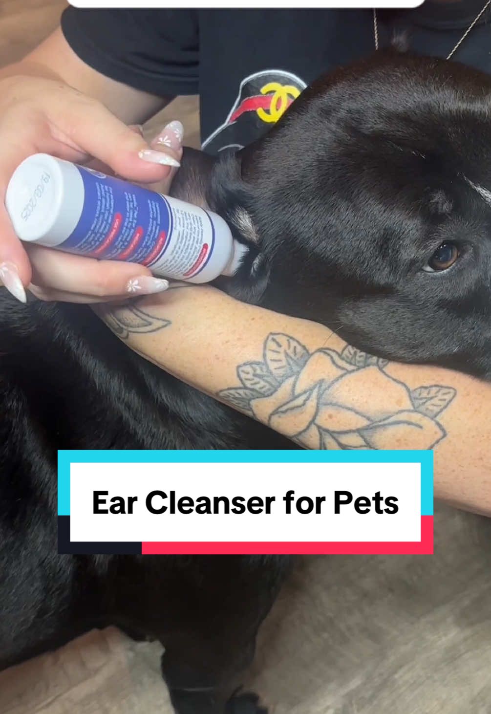 This ear cleaner is way more affordable than one that the vet would prescribe.  #earinfection #earcleanerforpets #tiktokshop #dogsoftiktok #earwash #petearcleaner #petessentials #catsoftiktok 