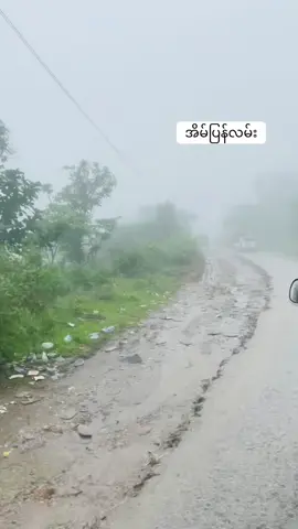 #ဒေါနတောင်လမ်းဟောင်း #တောင်ဆင်းလမ်း #ဒေါနတောင် #အိမ်ပြန်လမ်းလေး😍 #EraFlowers 