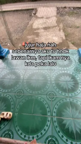 peka pang#buhanbanjar #banjar #fypbanjar #berandabanjar #banjarviral #banjarpride #banjarboy #katakatabanjar #orangbanjar #tiktokbanjar #banjarmanis #virabanjar #fypbanjarmasinbanjarbungas #banjarmasinbungas #banjamasinpunya #marista 
