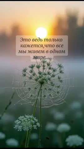 #с любовью#людям #июнь #мир #❤️ 