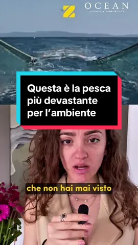 Tu che ne pensi?