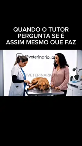 #medvet #veterinária #medicinaveterinaria #medicinaveterinária #veterinários #veterinário #veterinária #medveterinária 