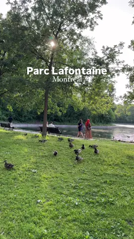 Parc Lafontaine part 2 #montreal #canada🇨🇦 #paratii #fyp #pourtoi #explorecanada #quebec #mtl #traveltiktok 