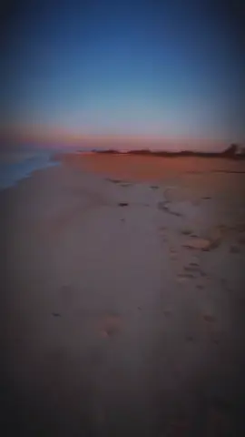 #CapCut 