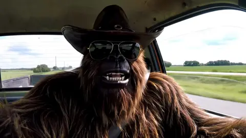We are reno bound for tonight’s performance!!! Who’s going?#bigfootbitch #BigfootAtTheRodeo #RodeoComedy #rodeo #BootsAndBulls #RodeoSeason #renorodeo #renonv 