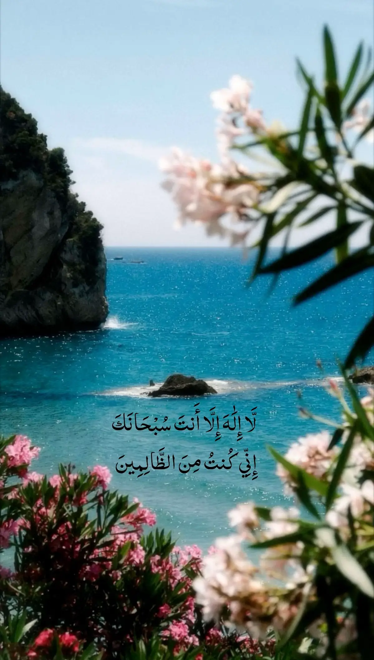 ༯ 🪷 Thanks for 10k followers 🫂 ‎ ❀ الحمدُ لله دائمًا وأبدًا ❀  الله يكتب لي ولكم بها الأجر، و يجعل هذا الحساب شاهدًا لي لا عليَّ يارب Beyond likes and numbers lies a journey of faith and sincerity  « May Islam bloom in our hearts » <𝟑 .ᐟ ❀ ༯