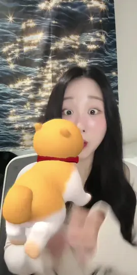 #tiktoklive #livehighlights 나 강아지랑 뽀뽀했더🥰
