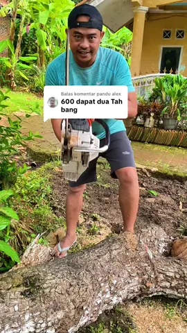 Membalas @pandu alex penasaran harga gergaji Senso ini buruan cek langsung di keranjang kuning #gergaji #senso #sinso #gergajikayu #gergajimesin #perkakas #fyp #wibgajan 