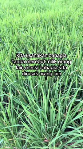 #fy #fypシ #viral #katakata #quetes #bali #galau #sad #sadatory #galaubrutal #foryou 