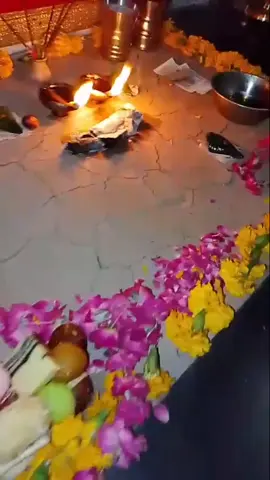 jay hoo Baba Mera palwan sarkar ki 🙏♥️