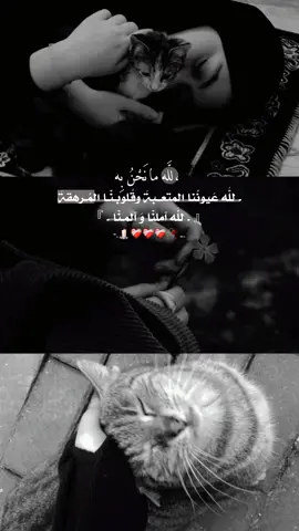 #لله_ما_نحن_به ❤‍🩹 #تصميم_آســيـل #جديدة_تابعوني  #لايك_تعليق_اكسبلوررر_متابعه  #explore 