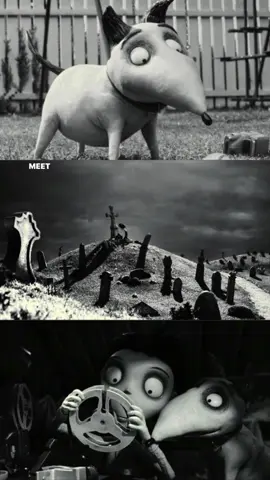 #fyp #foryoupage #foryou #frankenweenie #relatable #movie #xyzcba 