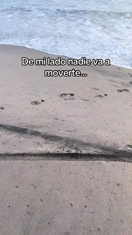 #deaquisoy #bandams #octubredoce #musica #nuevamusica #2025 #banda #lomasnuevo #playa #mar #amo #chiapas #viral #world #CapCut #fyp #teextraño #EH 