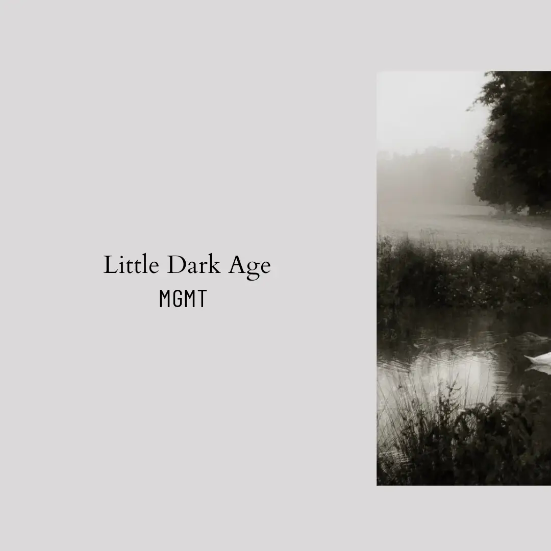 #littledarkage #lyrics #mgmt #fyp #foryoupage 