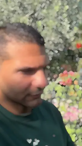 حكمة العام 