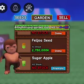 angjai#roblox #gag#feijoa#seed#Summer#update#grow#a#garden#roblox#masukberandafyp #bismillahfyp #fyppppppppppppppppppppppp #moots