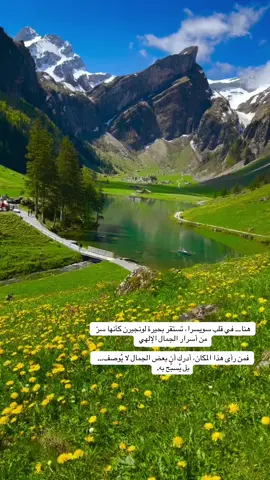 هنا… في قلب سويسرا، تستقر بحيرة لونجيرن كأنها سرّ من أسرار الجمال الإلهي. مياهها الهادئة تعكس زرقة السماء وصفاء القلوب، تحيط بها جبال خضراء تتوشّح بالضياء، وبيوت خشبية تقف كالشهود على عظمة الخالق. الهواء نقيّ كالدعاء، والسكينة تغمر المكان كأن الزمان توقف ليحفظ هذا الجمال للأبد. إنه مشهد لا يُشاهد… بل يُشعر. فمن رأى هذا المكان، أدرك أن بعض الجمال لا يُوصف… بل يُسبَّح به.#سحر_الطبيعة #زهور_الجبال #منظر_يبهر_القلوب #جنة_على_الأرض #سويسرا 