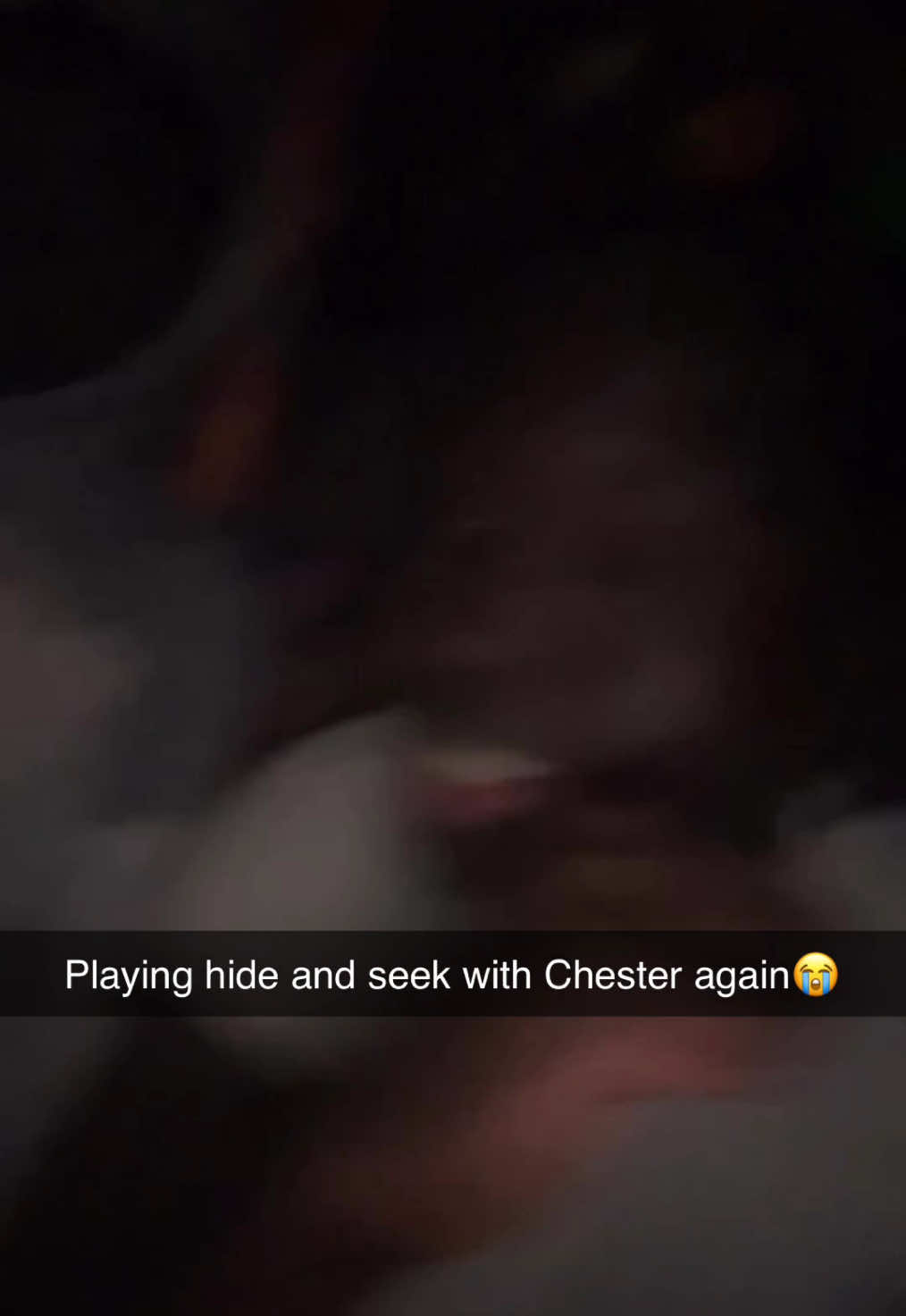 #fyp #viral #foryoupage #scary #scarytiktoks #scaryvideos #horrortok #horror #creatures #crazy #3am #midnight #storytime #hideandseek #scaryfacts #chester #repost