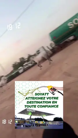 SOYATT