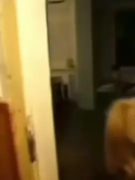 #fyp #funnyvideo #viral #deutschememes 