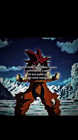 N A D I E      ✖️ #goku #nadie #entendera #dolor #fyp #parati #motivacion #disciplina #mentalidad #noterindas #fe 